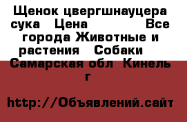 Щенок цвергшнауцера сука › Цена ­ 25 000 - Все города Животные и растения » Собаки   . Самарская обл.,Кинель г.